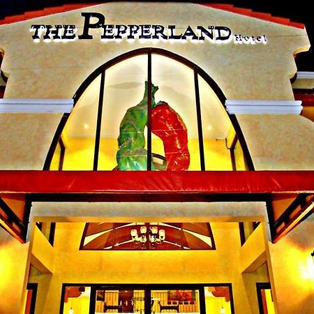 The Pepperland Hotel Legazpi Bagian luar foto
