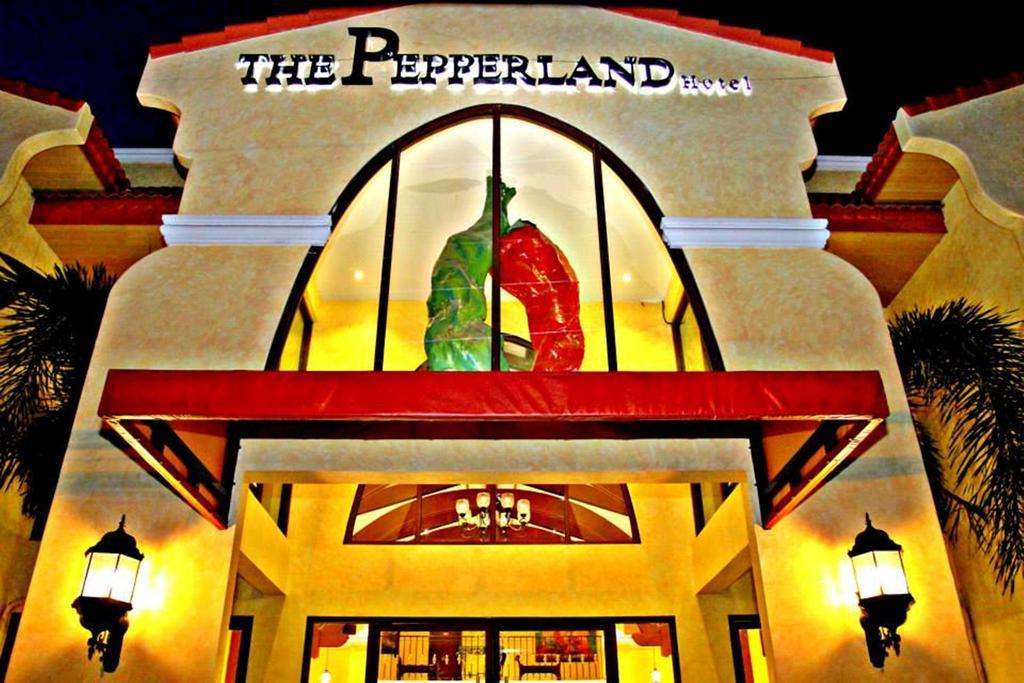 The Pepperland Hotel Legazpi Bagian luar foto